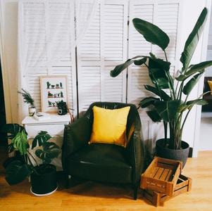 手机随手拍-工作室-沙发-家具-盆栽 图片素材