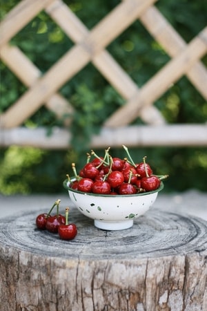 美食-樱桃-旅行-石榴-草莓 图片素材