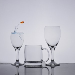 静物-创意-极简-高脚杯-杯子 图片素材