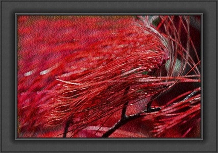 油画-静物-随意-鲜红-自闭 图片素材