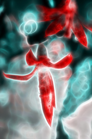 植物-光影-我的六月-创意-色彩 图片素材