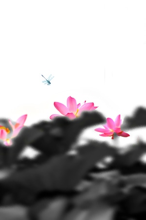数字艺术大赛图像组-后期处理-国画-水墨-荷花 图片素材