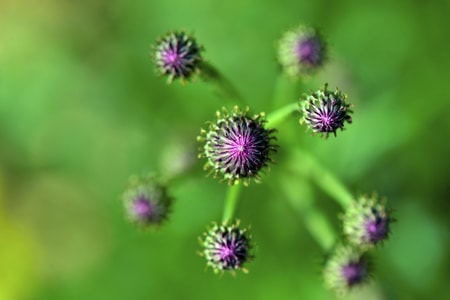 生活-静物-尼康-纪实-微距 图片素材