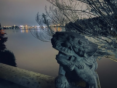 杭州市-西湖-夜景-城市-公园 图片素材