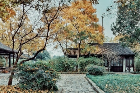 庭院-秋天-古建筑-落叶-公园长椅 图片素材