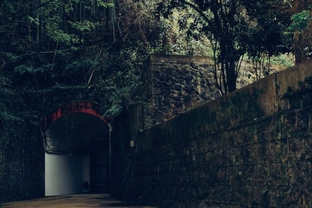 山洞-防空洞-大门-山-竹林 图片素材