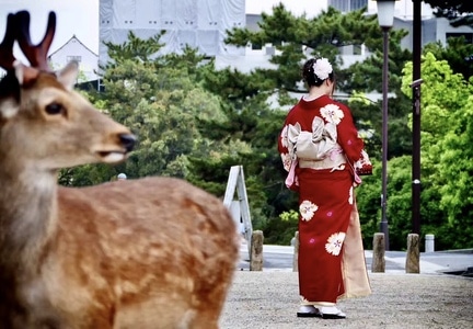 旅途中-京都-女性-女人-女生 图片素材