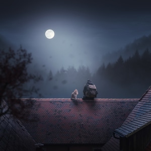 月色-孤独-陪伴-夜景-月亮 图片素材
