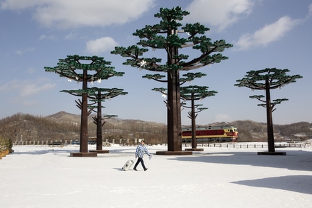冬季-旅拍-雪景-雪地-雪景 图片素材