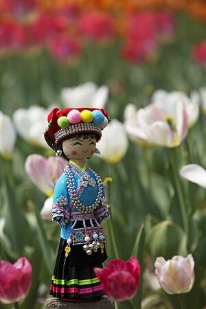 花季-拍花-郁金香-鲜花-花 图片素材
