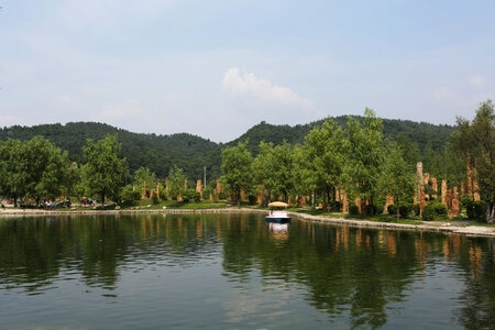 自然-木化石-水面-风景-树木 图片素材