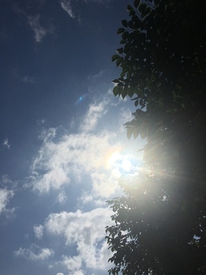 蓝天-白云-天空-阳光-春日 图片素材