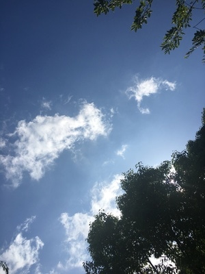蓝天-白云-天空-阳光-春日 图片素材
