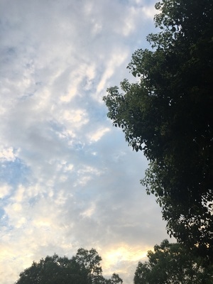 蓝天-白云-天空-阳光-春日 图片素材