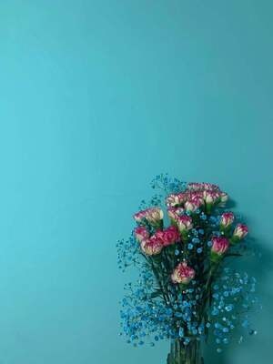 花朵-墙-人像-蓝色-花 图片素材