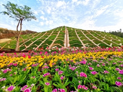 珠海市-手机影像-风光-旅行-动植物 图片素材