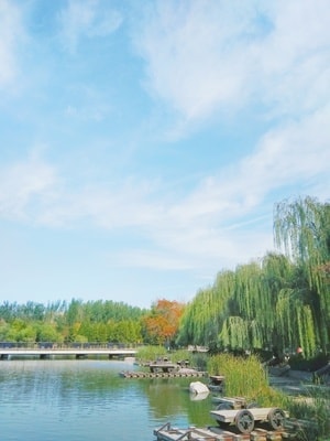 美图-清新-日系小清新-风景-摄影 图片素材