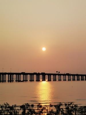 夕阳-斜阳-桥-车-风光 图片素材