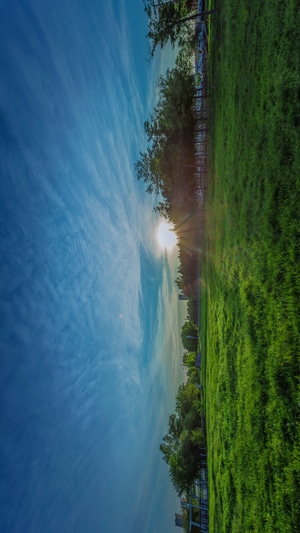 夕阳-绿植-风景-草地-绿植 图片素材