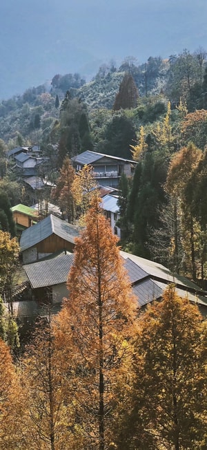 成都-青城后山-湖-风景-村庄 图片素材