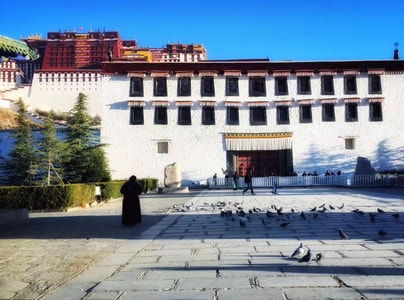 拉萨-波密-建筑-广场-古建筑 图片素材