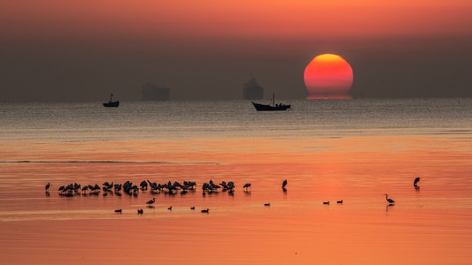 大海-日出-清晨-湿地-日出 图片素材