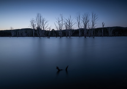 布里斯班-湖-枯树-长曝-蓝调 图片素材