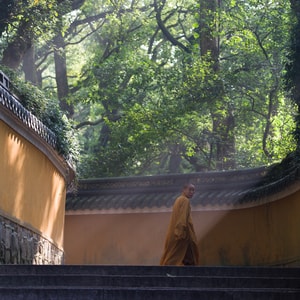 风景-佛教-古风-禅意-寺院 图片素材
