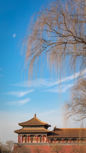 风光-旅行-古建筑-北京-紫禁城 图片素材