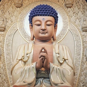 花-佛教-风景-风光-旅游 图片素材