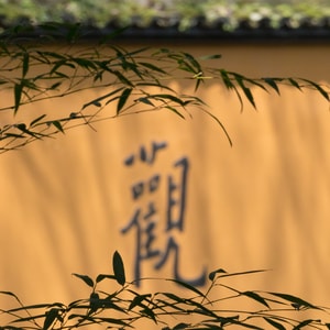 魔都映像-毕业季-风光-佛教-僧人 图片素材