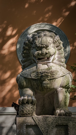 旅游-禅意-古风-寺院-光影 图片素材