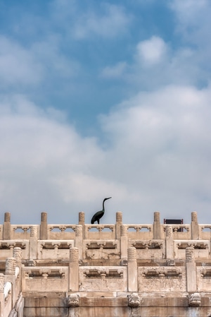 北京-古建筑-故宫-紫禁城-建筑结构 图片素材