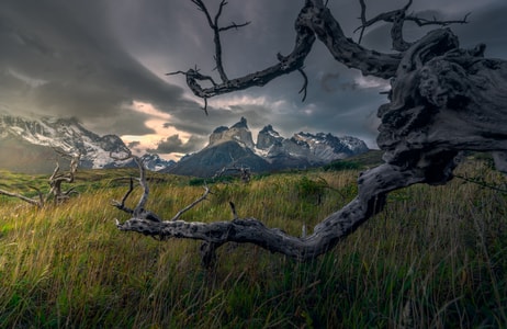 巴塔哥尼亚-torresdelpaine-风光-秋天-智利 图片素材