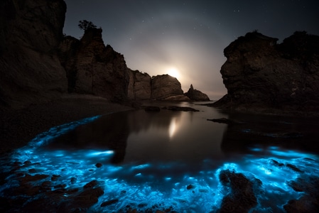 荧光海-大连-海边-夜晚-礁石 图片素材