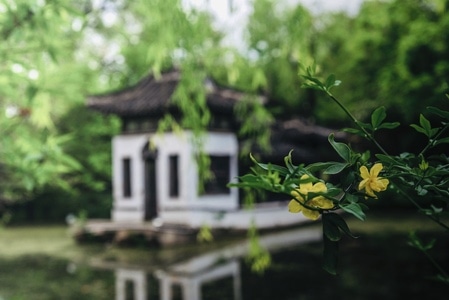 河舫-扬州-中式风格-绿叶-花 图片素材