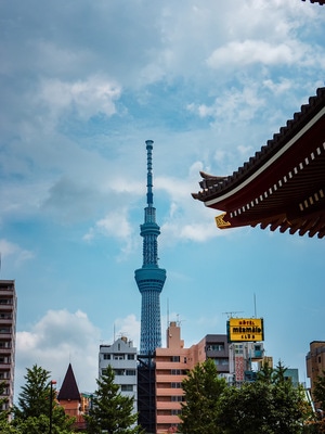 街拍-我要上封面-在路上-旅行-城市风光 图片素材