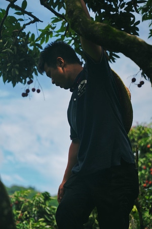 户外-生活-写真-街拍-胶片 图片素材