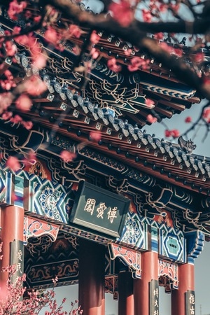 梅花-风光-建筑-房屋-古建筑 图片素材