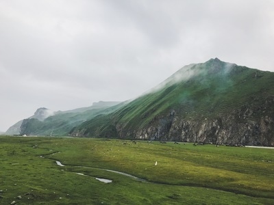 绿色地球-手机摄影-我和我的祖国手机摄影大赛-雨中-风光 图片素材