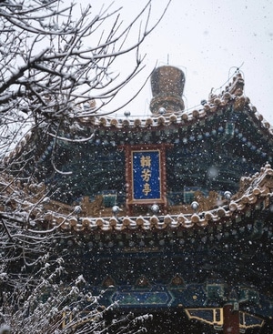 我的2019-北京-雪景-古建筑-紫禁城 图片素材