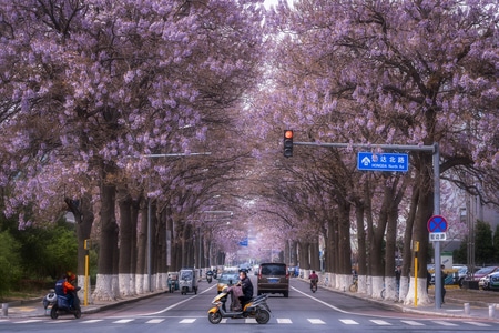 风光-北京-你好2020-色彩-情绪 图片素材
