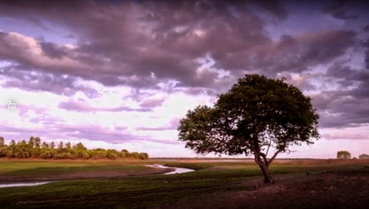 风光摄影-风-云-风景-树木 图片素材