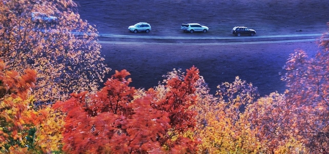 你好秋天-秋天-风光-风景-树木 图片素材