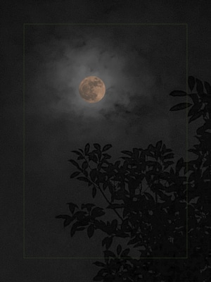 风光-纪实-记录-月-太阳初升 图片素材