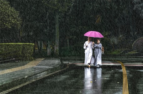 纪实摄影-雨中-师生情-雨-男性 图片素材