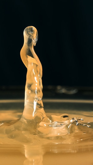 静物-抽象-水珠-水-雕塑 图片素材