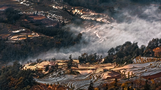 风光-倒影-梯田-倒映-云雾 图片素材