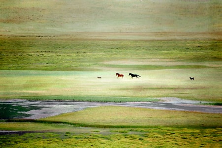 旅行-旅游-新藏线-风景-风光 图片素材