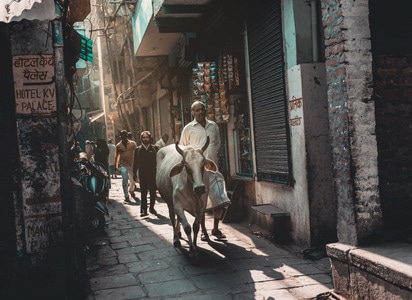 我的2019-人文-环球旅行-在路上-印度 图片素材